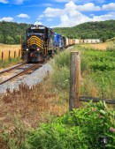 10431741663_e26a05a73c_o